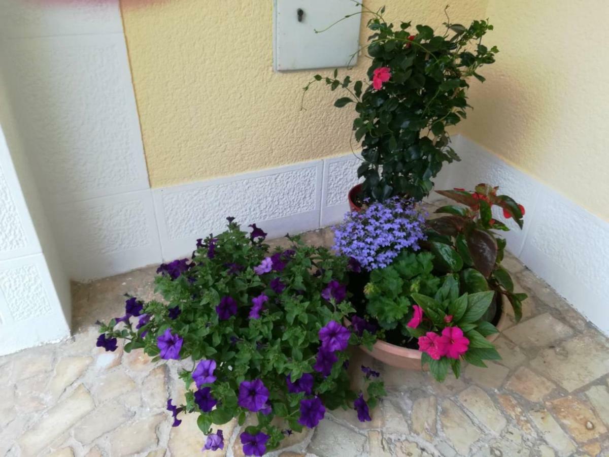Apartment Lili Пореч Екстер'єр фото