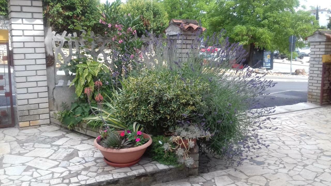 Apartment Lili Пореч Екстер'єр фото